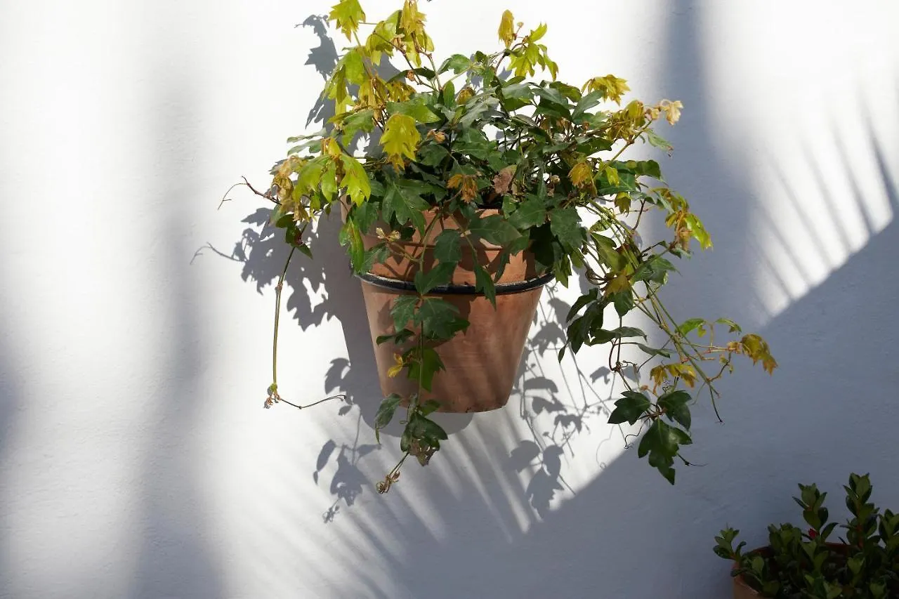 El Molino Estepona